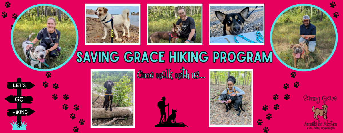 Fall Hiking with Saving Grace 2026
